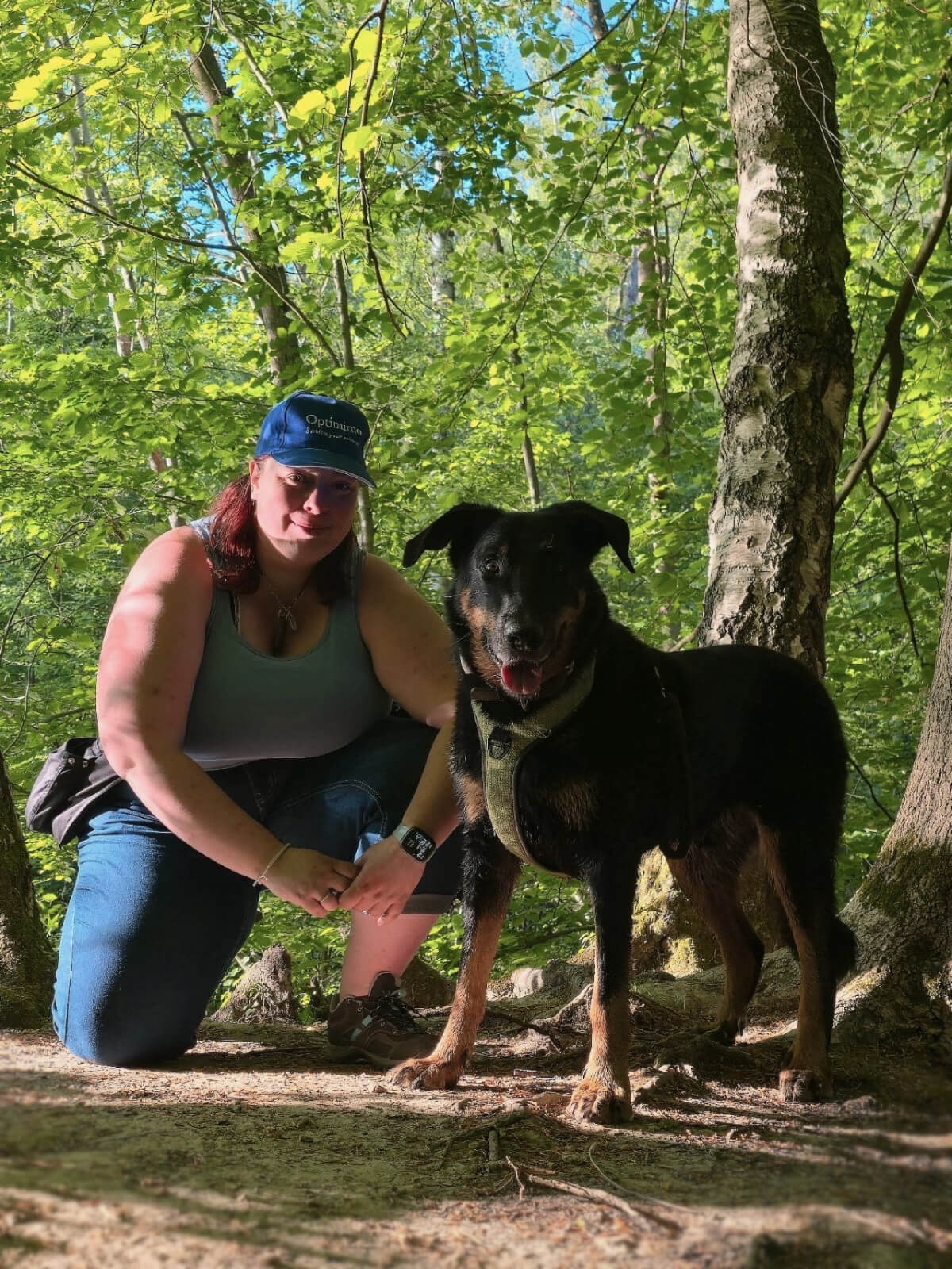 balade canine avec optimimo